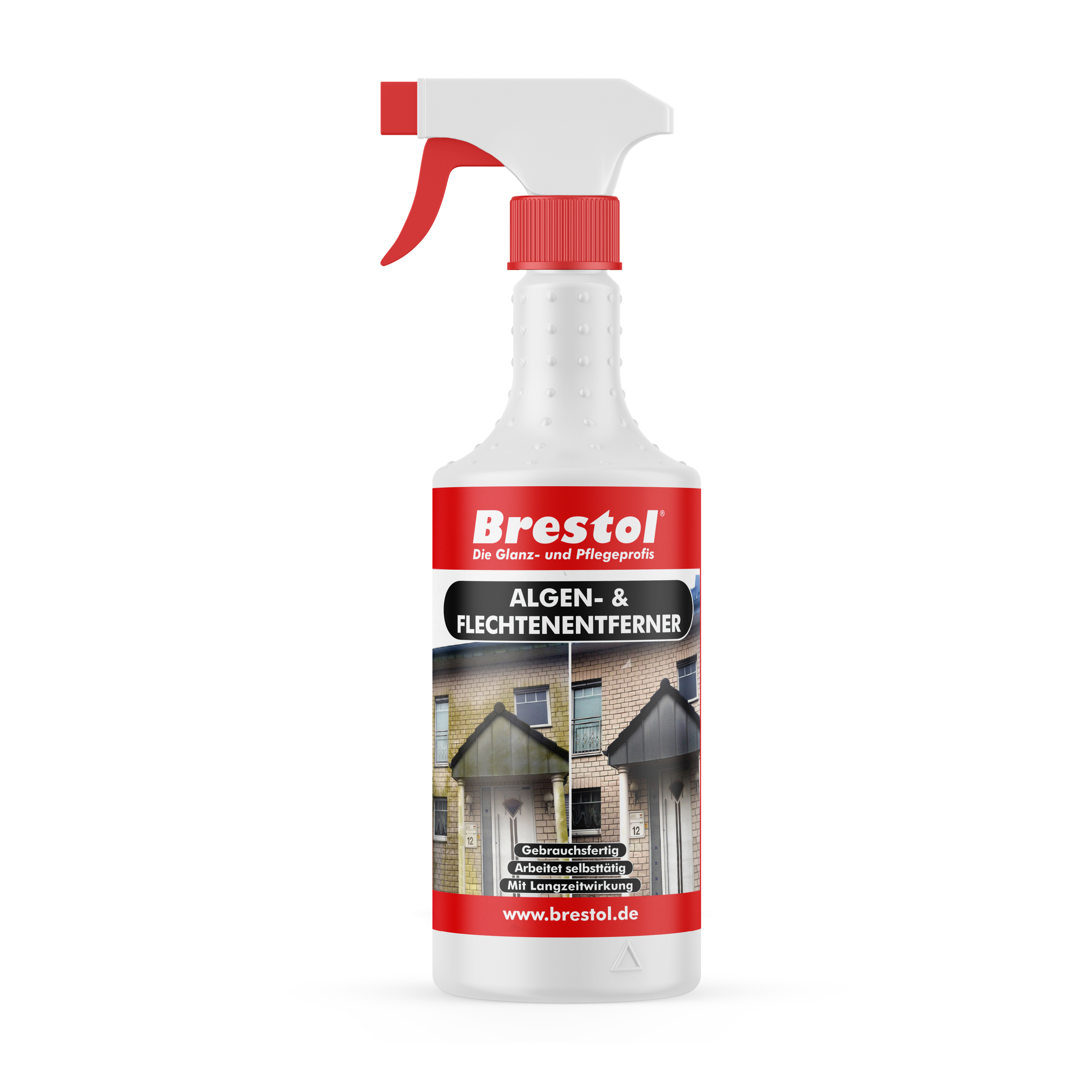 Algenentferner Flechtenentferner 750ml GF