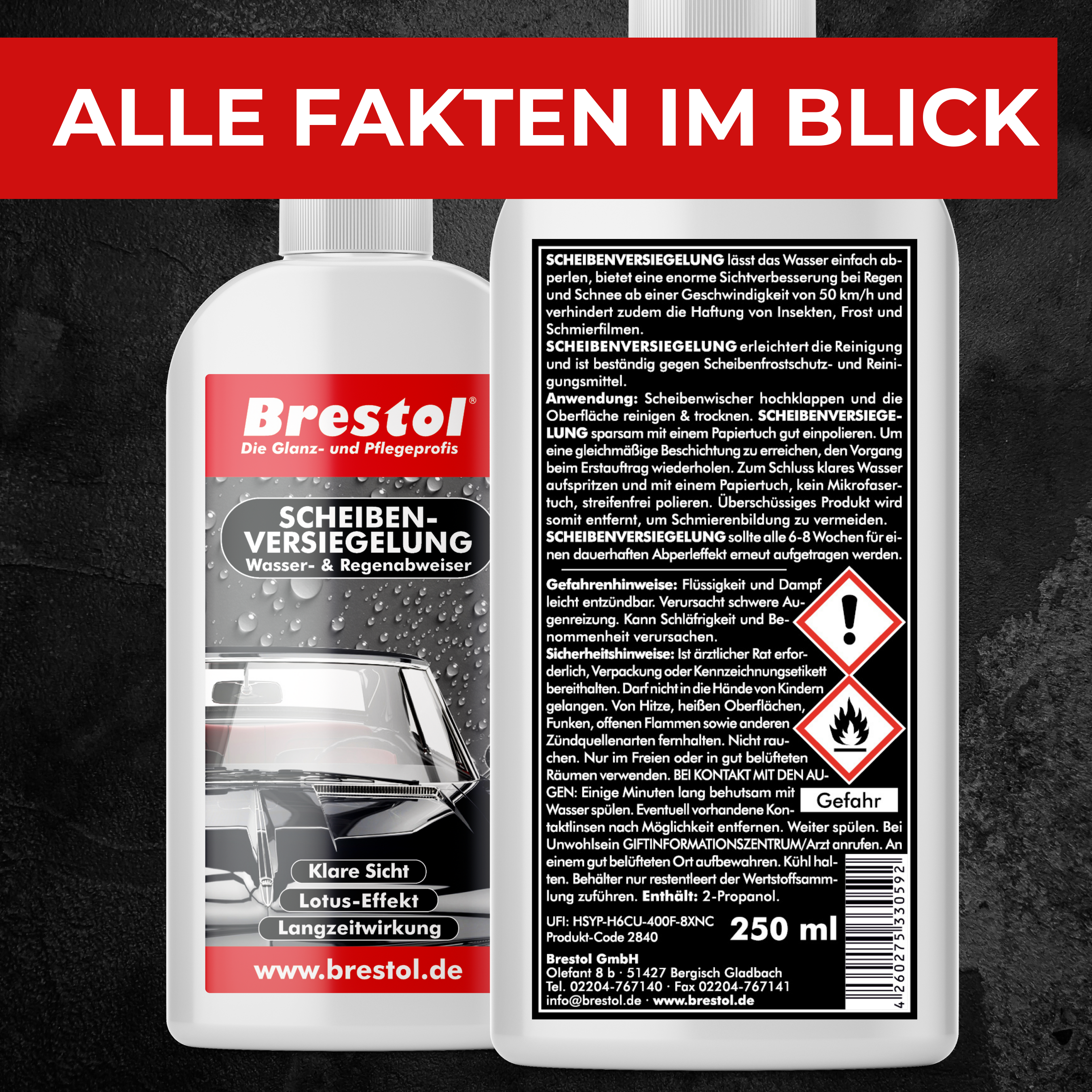 Scheibenversiegelung Infobild 6 Brestol