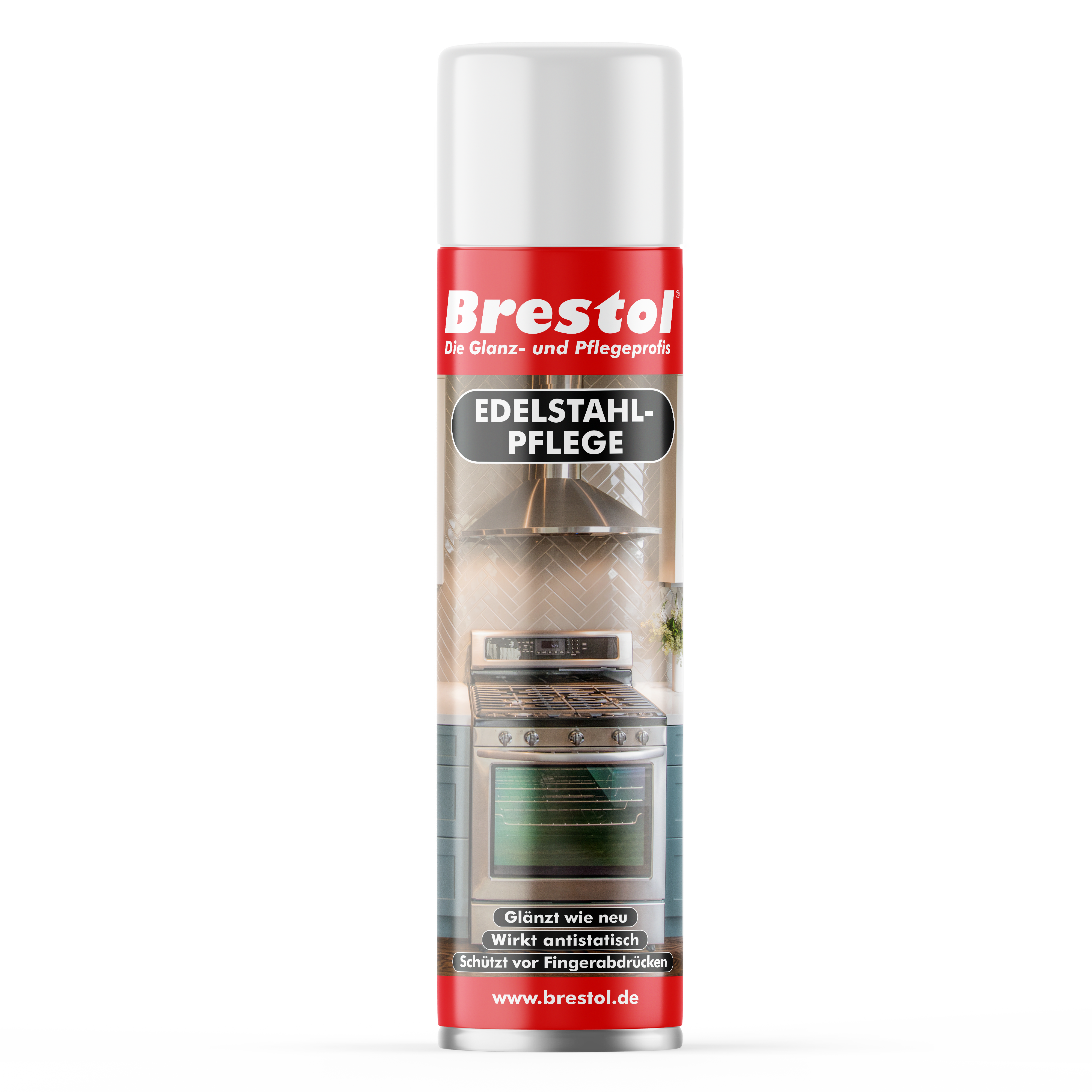 edelstahlpflegespray 400ml dose neu